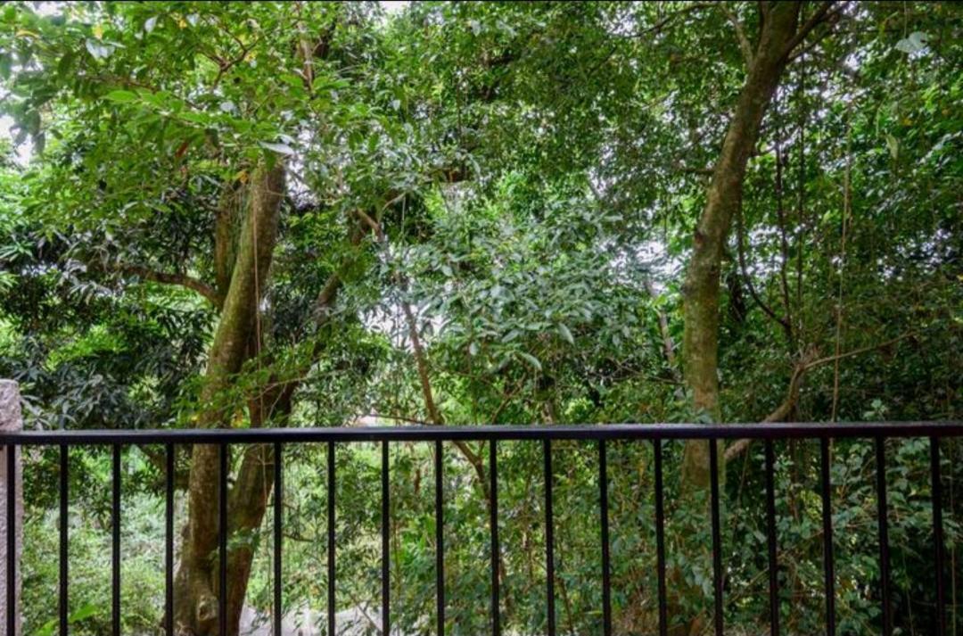 Santa Teresa Junto à Natureza Rio de Janeiro Extérieur photo